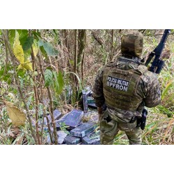 Apreensões de maconha e cocaína crescem no Paraná no 1º semestre